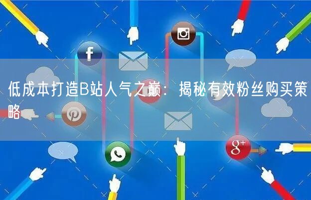 低成本打造B站人气之巅：揭秘有效粉丝购买策略