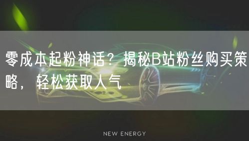 零成本起粉神话？揭秘B站粉丝购买策略，轻松获取人气