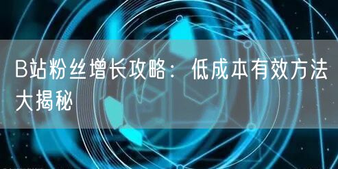 B站粉丝增长攻略：低成本有效方法大揭秘