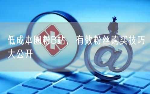 低成本圈粉B站，有效粉丝购买技巧大公开