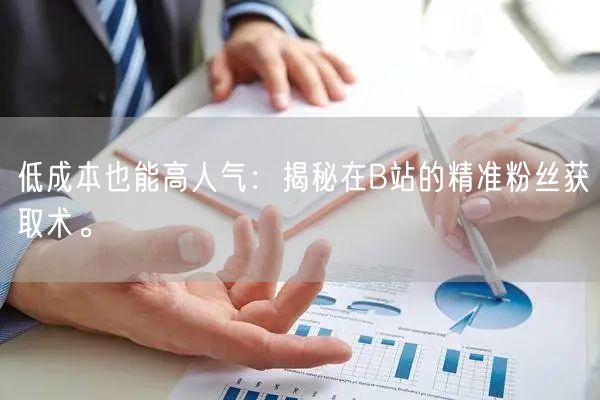 低成本也能高人气：揭秘在B站的精准粉丝获取术。