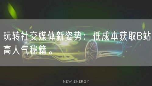 玩转社交媒体新姿势：低成本获取B站高人气秘籍。