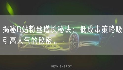 揭秘B站粉丝增长秘诀：低成本策略吸引高人气的秘密。