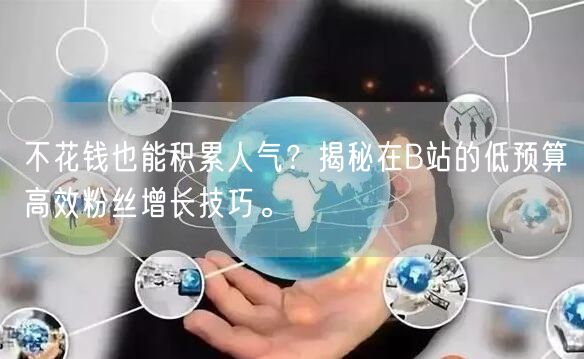 不花钱也能积累人气？揭秘在B站的低预算高效粉丝增长技巧。