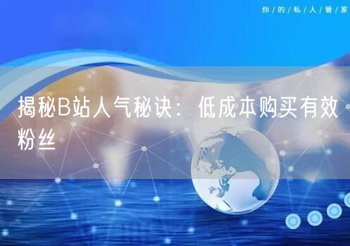 揭秘B站人气秘诀：低成本购买有效粉丝