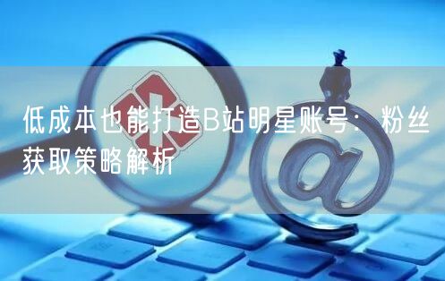 低成本也能打造B站明星账号：粉丝获取策略解析