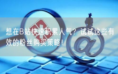 想在B站快速积累人气？试试这些有效的粉丝购买策略！