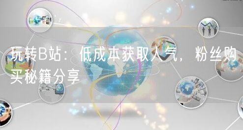 玩转B站：低成本获取人气，粉丝购买秘籍分享