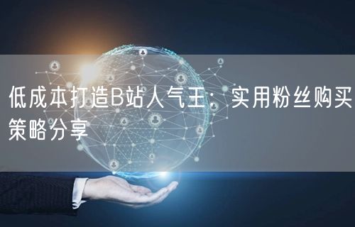 低成本打造B站人气王：实用粉丝购买策略分享