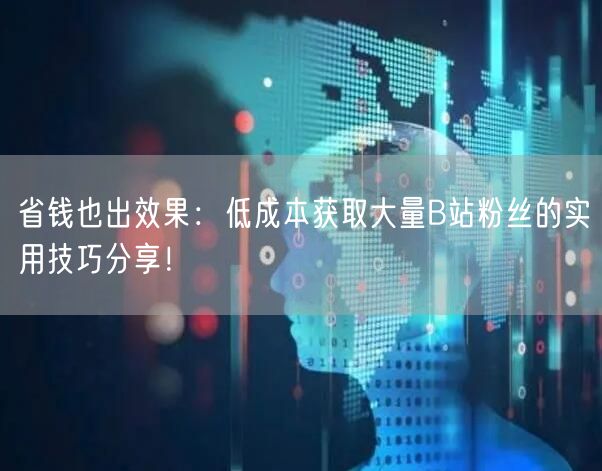 省钱也出效果：低成本获取大量B站粉丝的实用技巧分享！