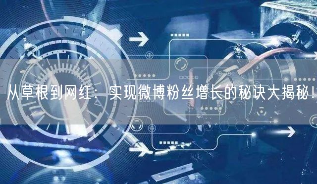 从草根到网红：实现微博粉丝增长的秘诀大揭秘！