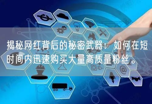 揭秘网红背后的秘密武器：如何在短时间内迅速购买大量高质量粉丝。