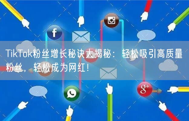TikTok粉丝增长秘诀大揭秘：轻松吸引高质量粉丝，轻松成为网红！
