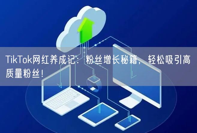 TikTok网红养成记：粉丝增长秘籍，轻松吸引高质量粉丝！