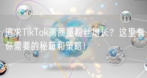 追求TikTok高质量粉丝增长？这里有你需要的秘籍和策略！