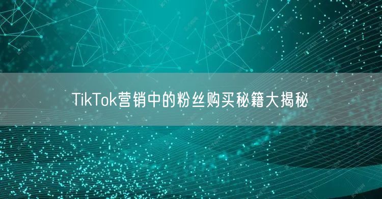 TikTok营销中的粉丝购买秘籍大揭秘