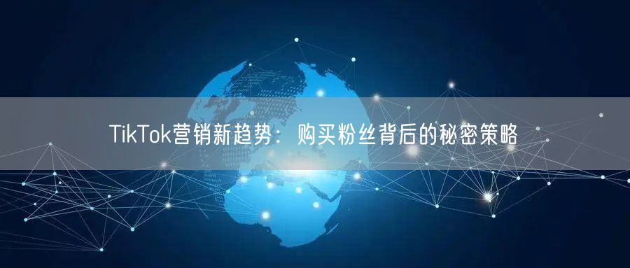 TikTok营销新趋势：购买粉丝背后的秘密策略