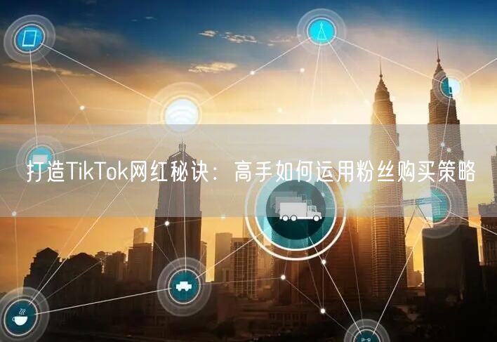 打造TikTok网红秘诀：高手如何运用粉丝购买策略