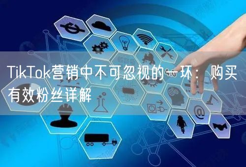 TikTok营销中不可忽视的一环：购买有效粉丝详解