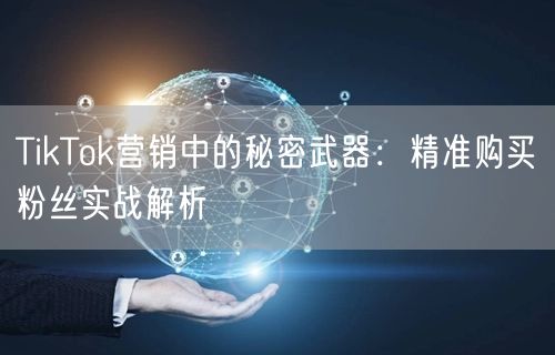 TikTok营销中的秘密武器：精准购买粉丝实战解析