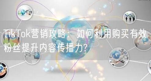 TikTok营销攻略：如何利用购买有效粉丝提升内容传播力?