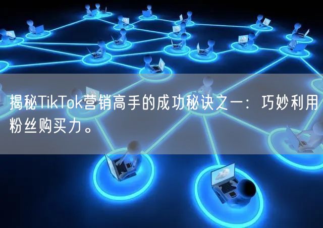 揭秘TikTok营销高手的成功秘诀之一：巧妙利用粉丝购买力。