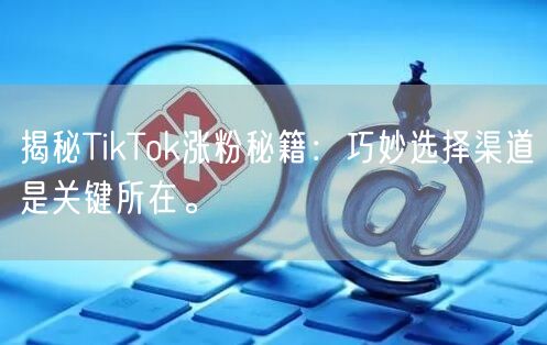 揭秘TikTok涨粉秘籍：巧妙选择渠道是关键所在。