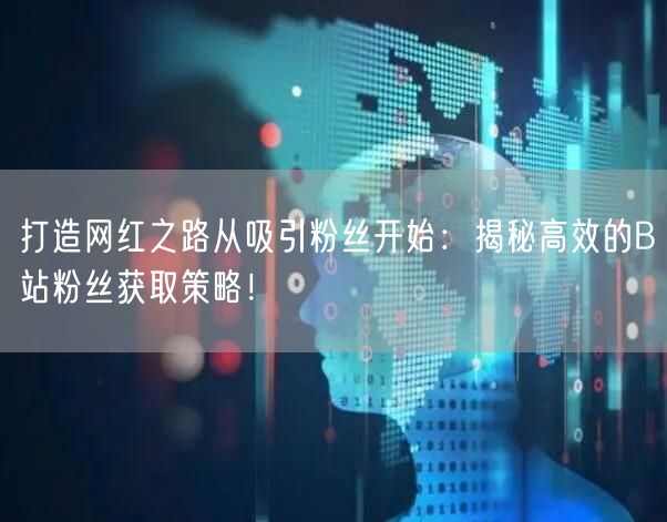 打造网红之路从吸引粉丝开始：揭秘高效的B站粉丝获取策略！