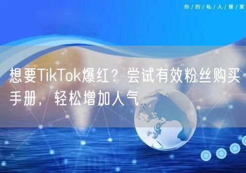 想要TikTok爆红？尝试有效粉丝购买手册，轻松增加人气