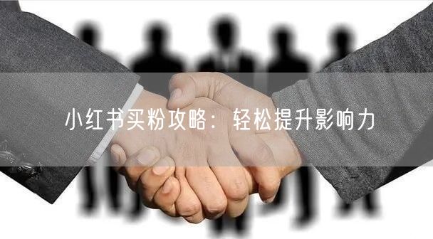 小红书买粉攻略：轻松提升影响力