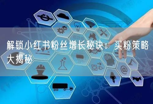 解锁小红书粉丝增长秘诀：买粉策略大揭秘