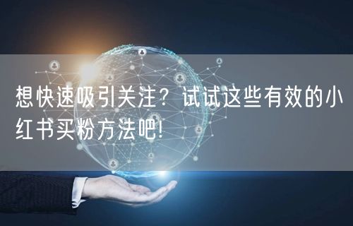 想快速吸引关注？试试这些有效的小红书买粉方法吧!
