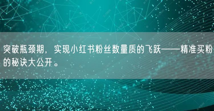 突破瓶颈期，实现小红书粉丝数量质的飞跃——精准买粉的秘诀大公开。
