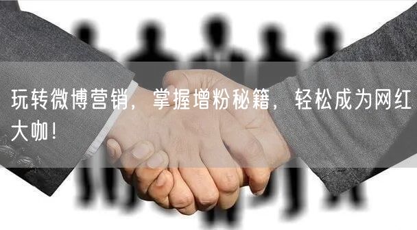 玩转微博营销，掌握增粉秘籍，轻松成为网红大咖！