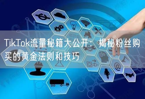 TikTok流量秘籍大公开：揭秘粉丝购买的黄金法则和技巧