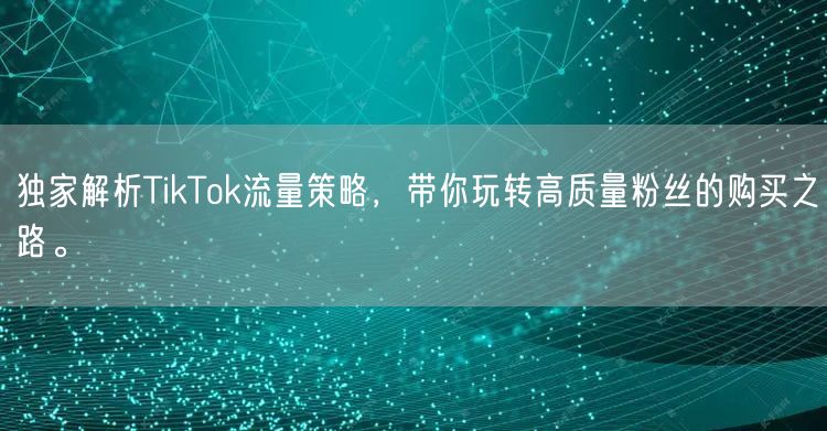独家解析TikTok流量策略，带你玩转高质量粉丝的购买之路。