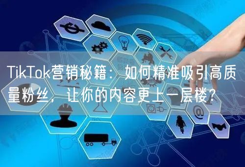TikTok营销秘籍：如何精准吸引高质量粉丝，让你的内容更上一层楼？