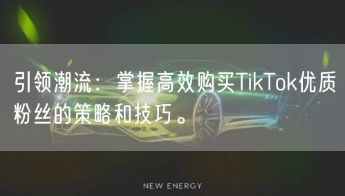 引领潮流：掌握高效购买TikTok优质粉丝的策略和技巧。