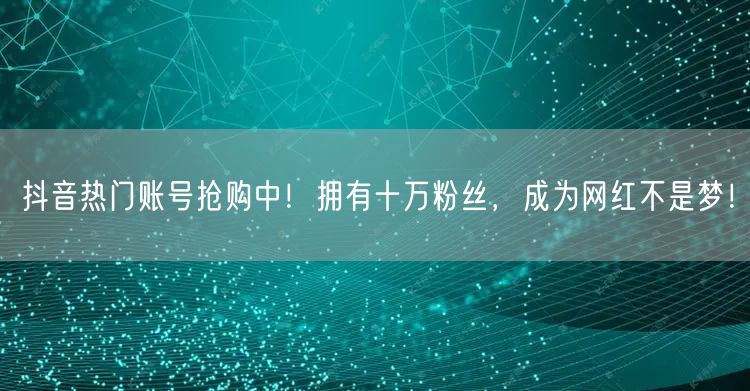 抖音热门账号抢购中！拥有十万粉丝，成为网红不是梦！