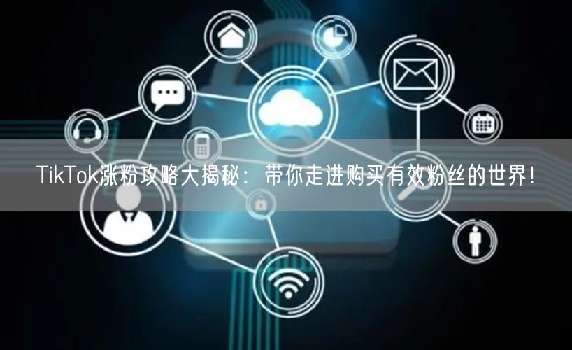 TikTok涨粉攻略大揭秘：带你走进购买有效粉丝的世界！