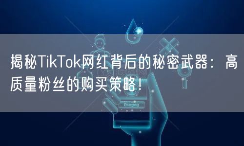 揭秘TikTok网红背后的秘密武器：高质量粉丝的购买策略！