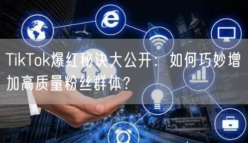 TikTok爆红秘诀大公开：如何巧妙增加高质量粉丝群体？