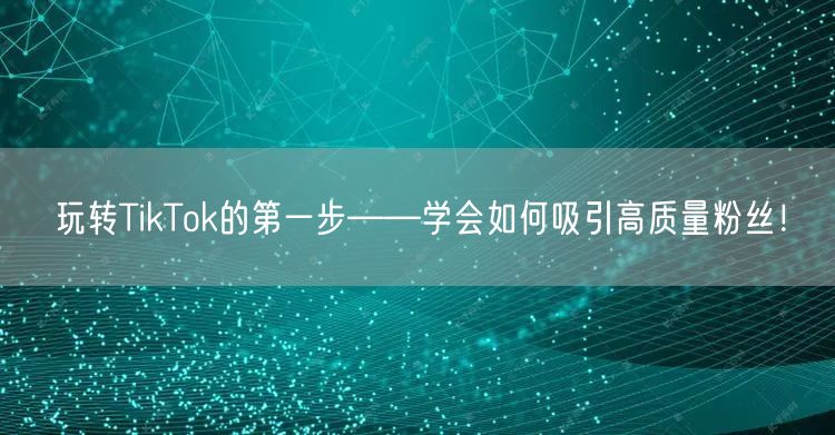 玩转TikTok的第一步——学会如何吸引高质量粉丝！