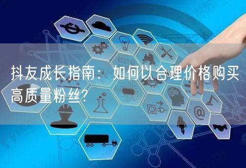 抖友成长指南：如何以合理价格购买高质量粉丝?