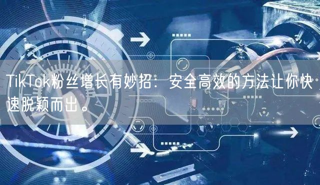 TikTok粉丝增长有妙招：安全高效的方法让你快速脱颖而出。