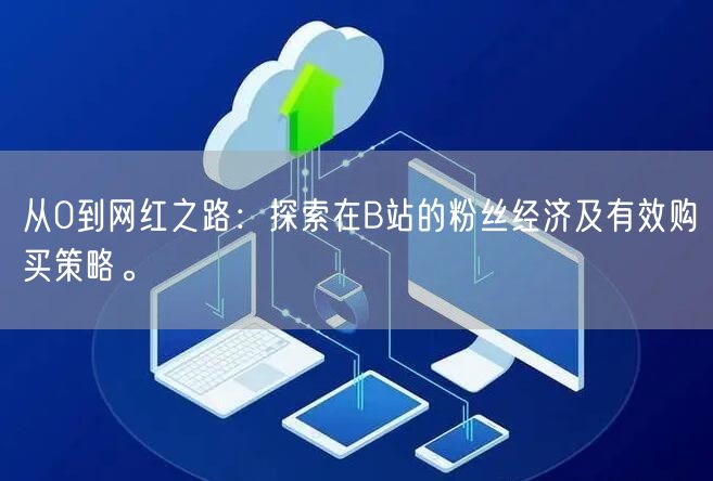 从0到网红之路：探索在B站的粉丝经济及有效购买策略。