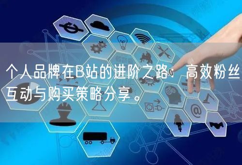 个人品牌在B站的进阶之路：高效粉丝互动与购买策略分享。