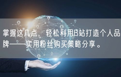 掌握这几点，轻松利用B站打造个人品牌——实用粉丝购买策略分享。