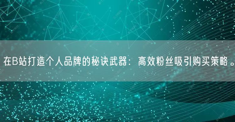 在B站打造个人品牌的秘诀武器：高效粉丝吸引购买策略。