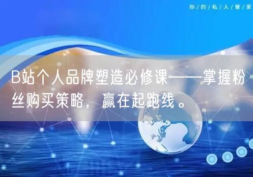 B站个人品牌塑造必修课——掌握粉丝购买策略，赢在起跑线。